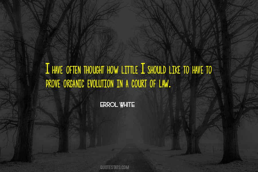 Romanticizes The Life Quotes #433330