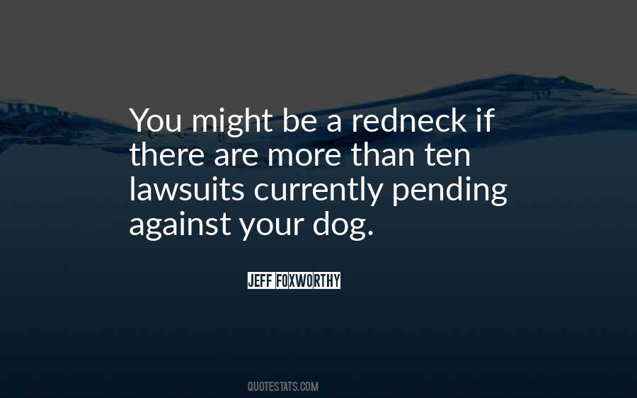 Quotes About Lawsuits #830779