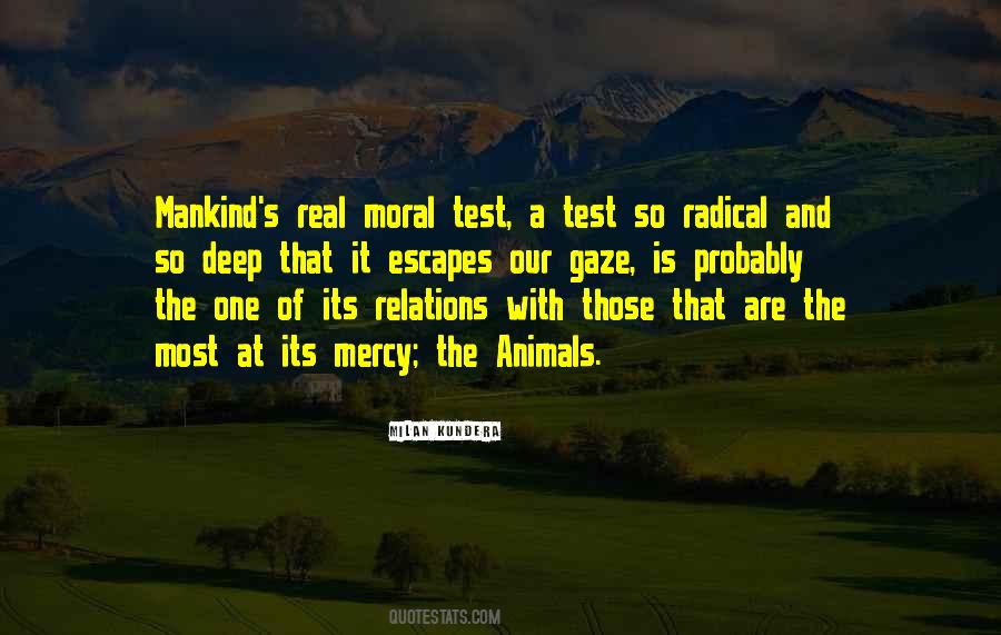 Antwione Haywood Quotes #625142