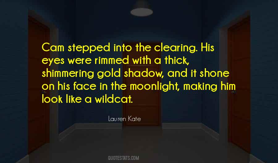 Shadow Like Quotes #80855