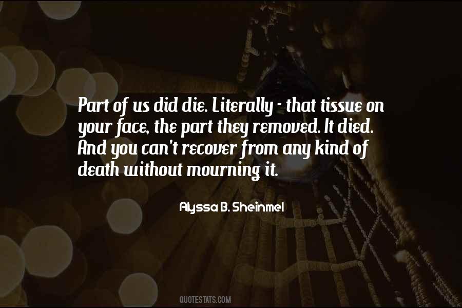 Sheinmel Alyssa Quotes #771072