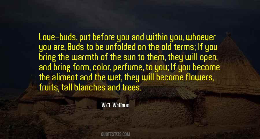 Davood Rashidi Quotes #1653800