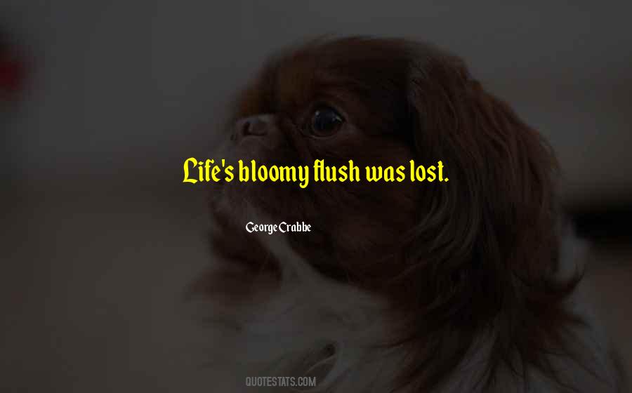 Rochie Tricotata Quotes #1101568