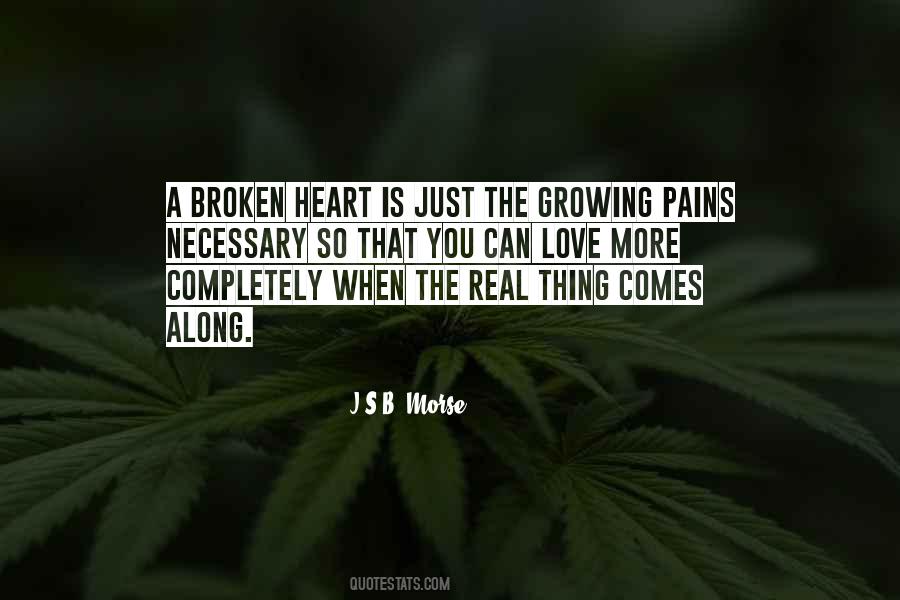 Broken Heart Broken Quotes #119489