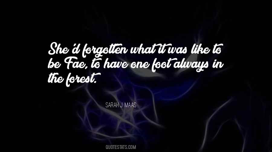 Costantino Vitagliano Quotes #904663