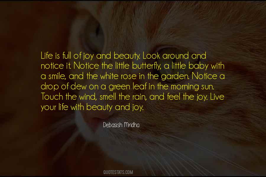 Feel The Beauty Of Life Quotes #1842014