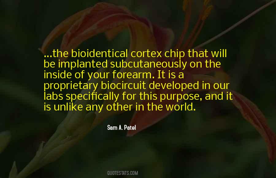 Hulled Sunflower Quotes #340916