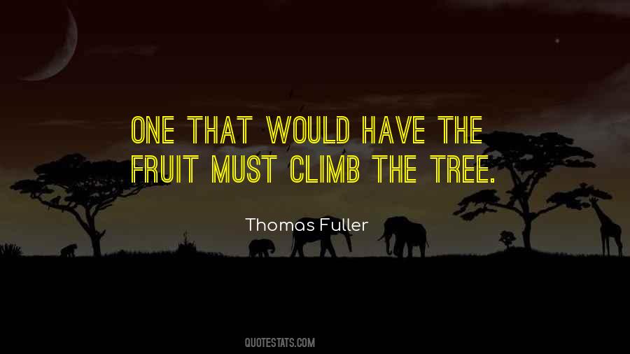 Curtea De Apel Cluj Quotes #398707