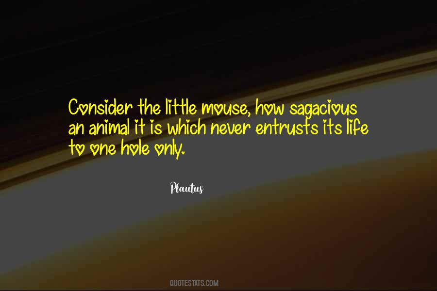 Dromedary Crossword Quotes #211535
