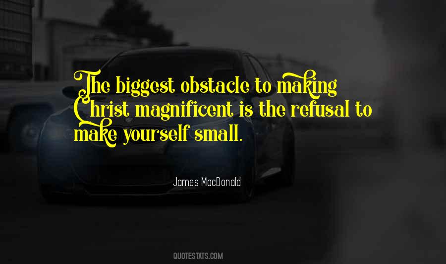 Petrungaro Plastic Surgery Quotes #1368283