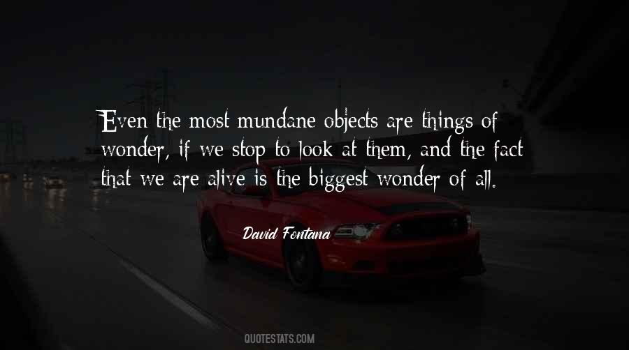 Mundane Things Quotes #832614