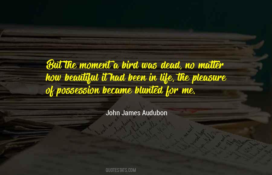 James Audubon Quotes #1743302