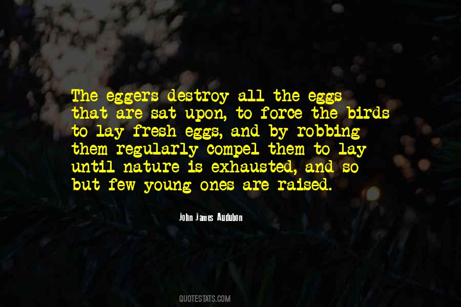 James Audubon Quotes #977862