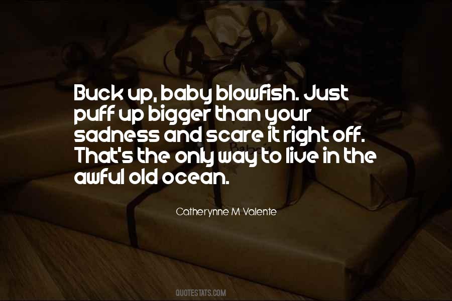 Catinari Cioccolato Quotes #1517700