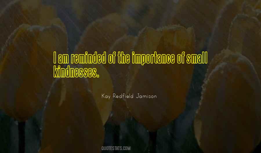 Small Kindnesses Quotes #726828