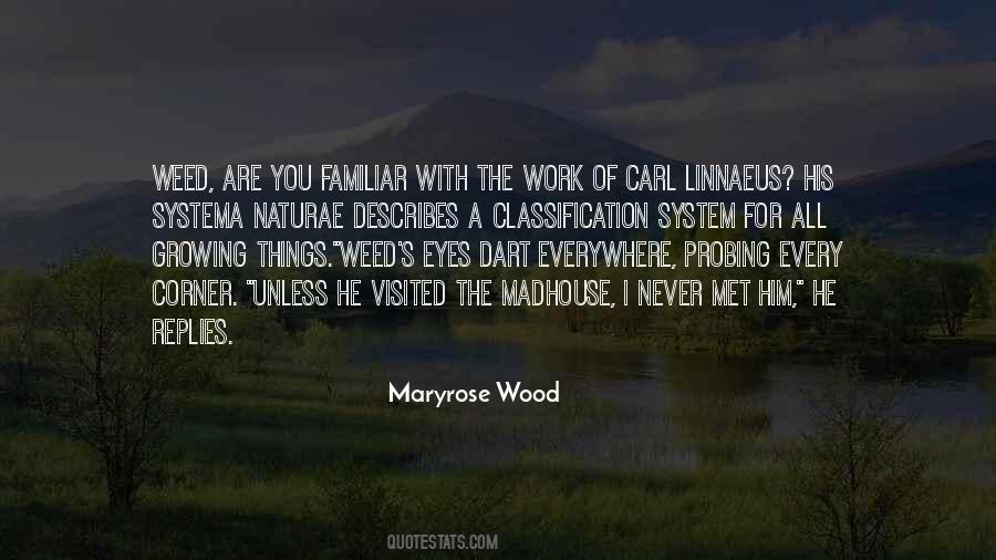 Plantei Arroz Quotes #845597