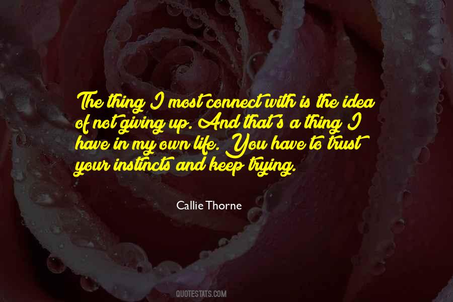 Connect Quotes #1700275