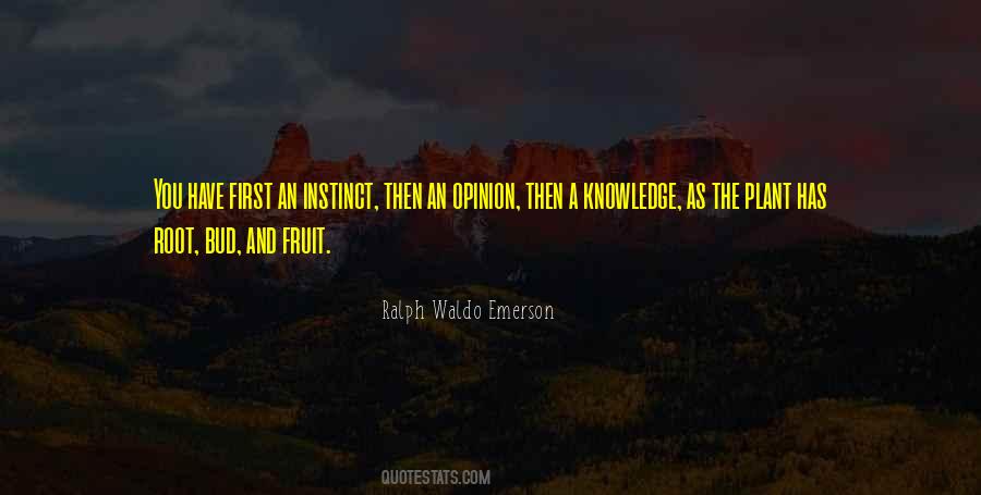 Coulda Told Quotes #434499