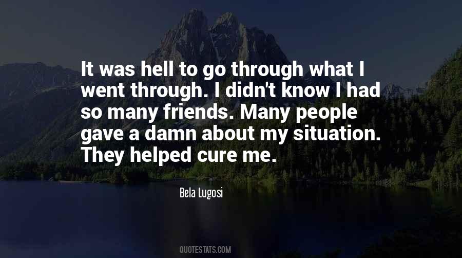 Went Through Hell Quotes #563614