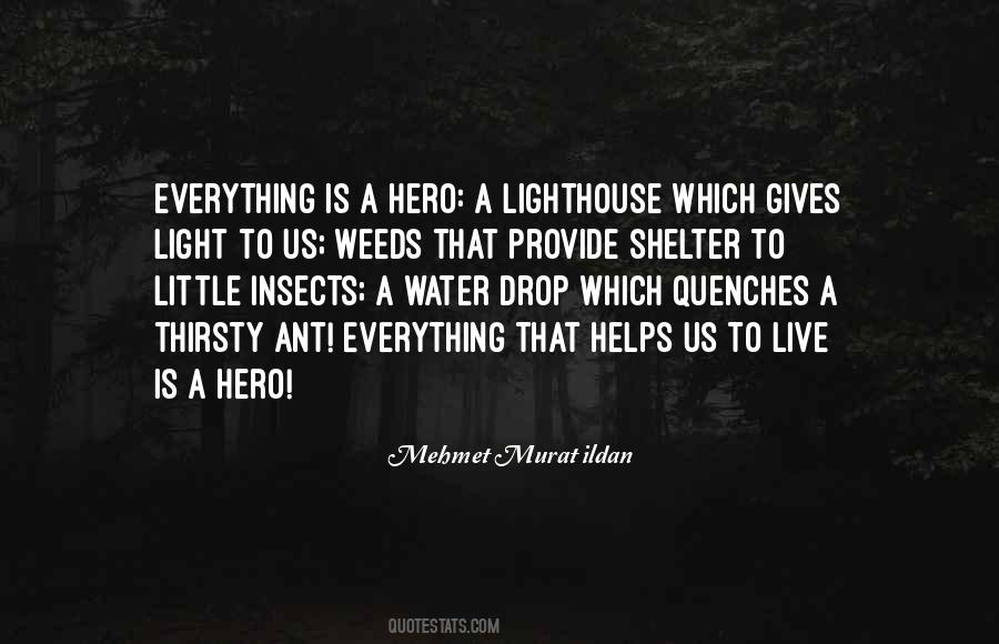 Zijlicht Quotes #1635542