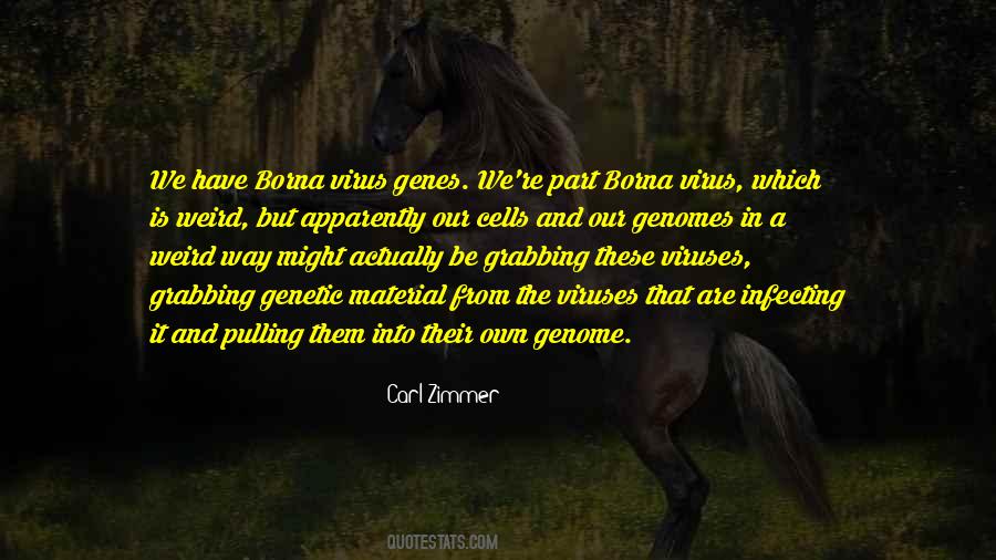 Country Whats Your Name Quotes #580979