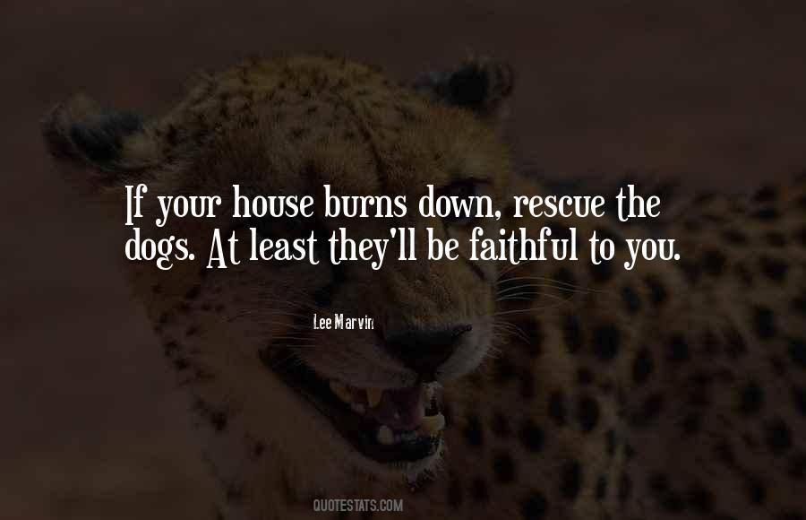 House Dog Quotes #1173362
