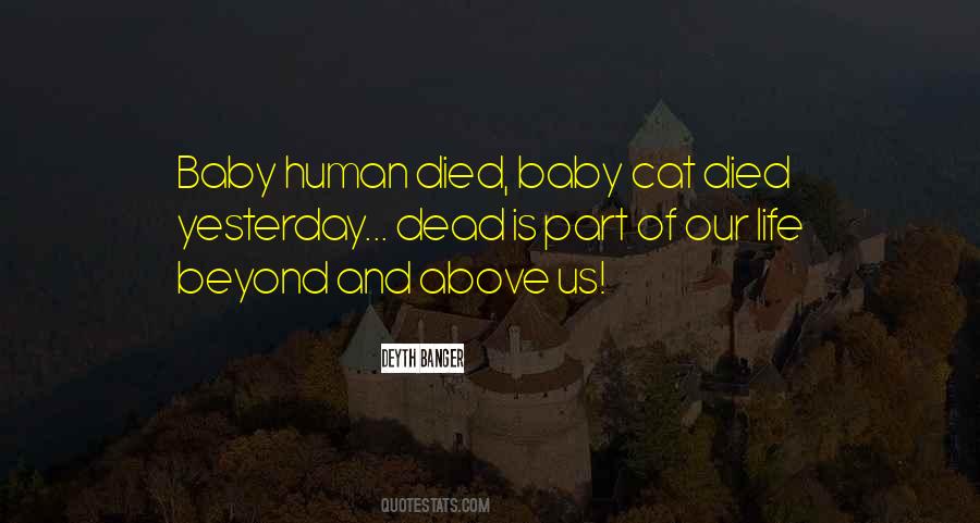 Scherri Murray Quotes #1375102