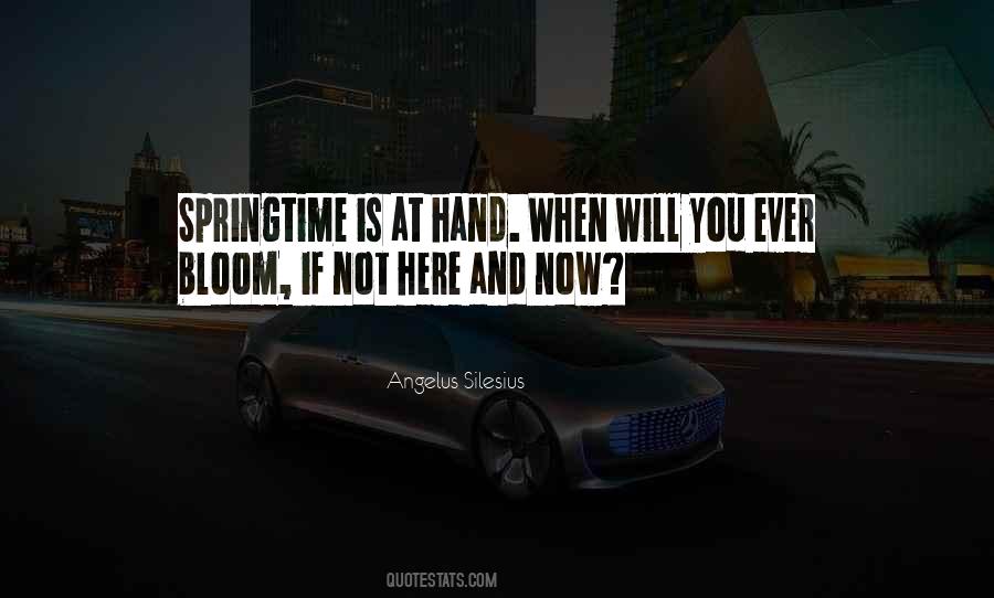 Kirpiklerini Ok Eyle Quotes #495770