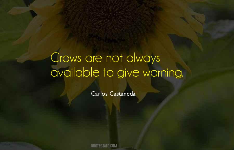 6 Of Crows Quotes #107957