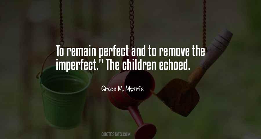 Perfect And Imperfect Quotes #1767322