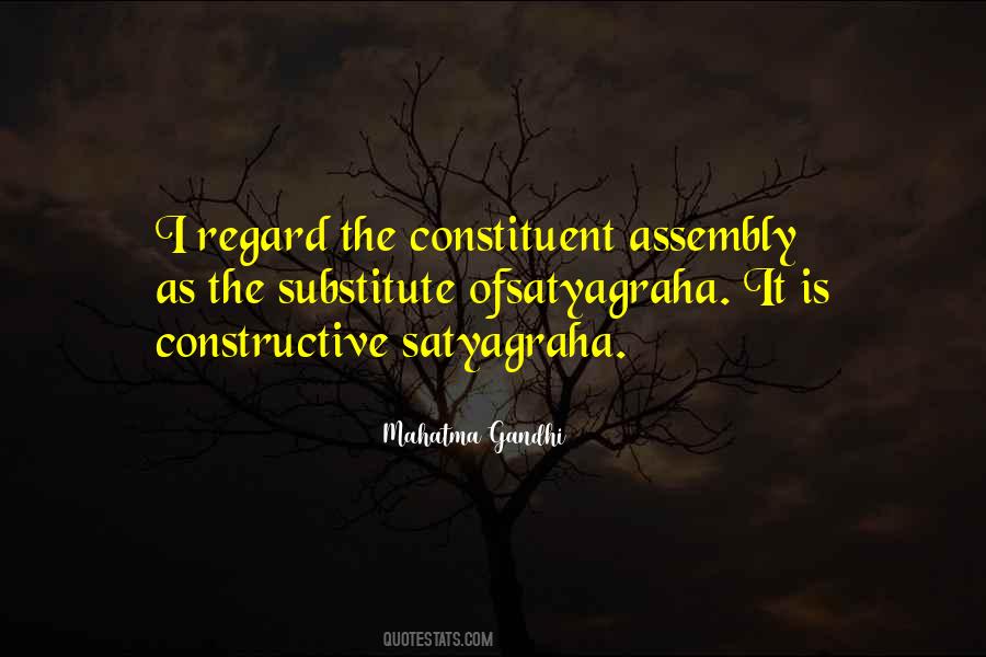 Constituent Assembly Quotes #817173