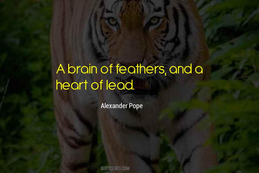 Cnockaert Quotes #1686650