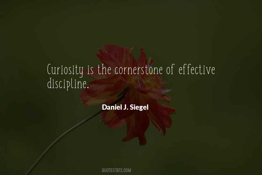 Effective Discipline Quotes #202307