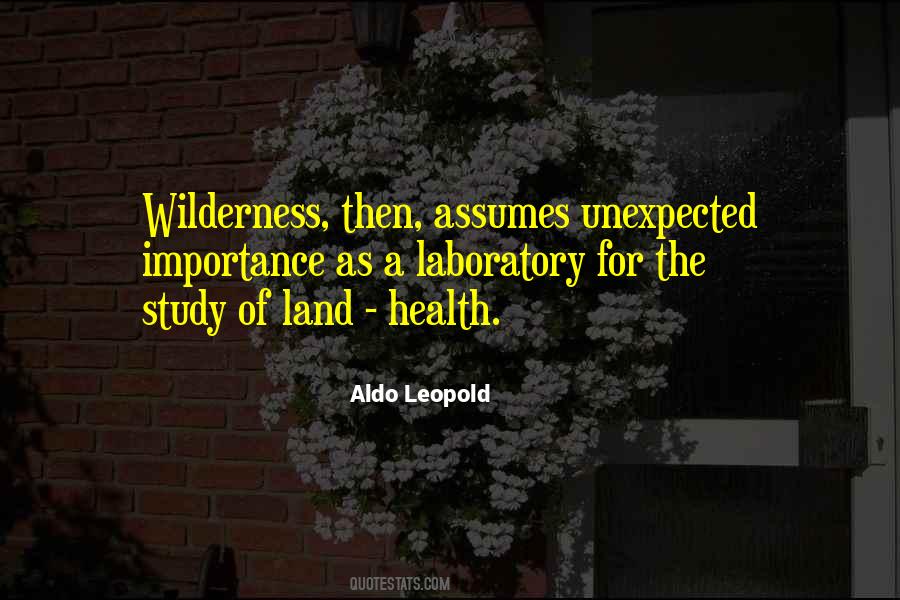 Aldo Leopold Wilderness Quotes #1043336