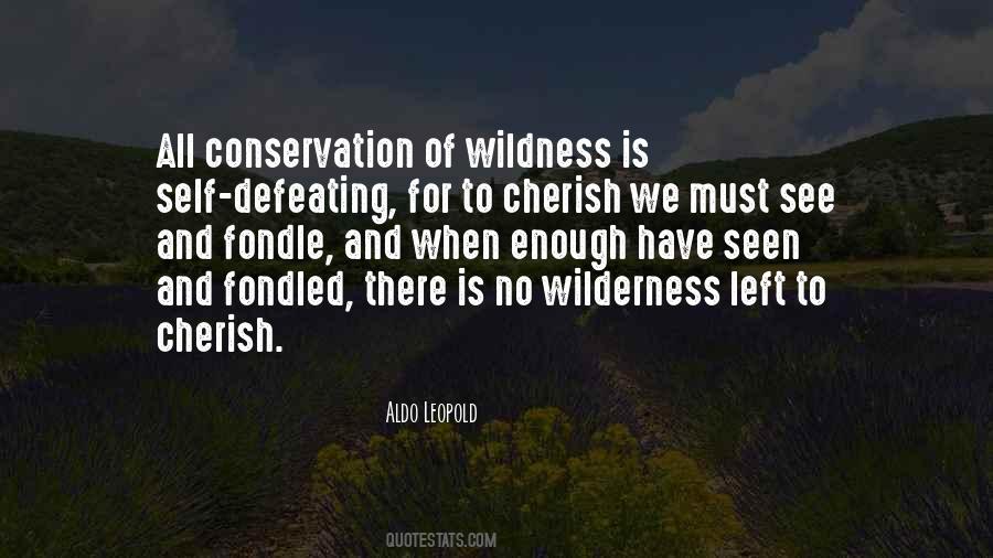 Aldo Leopold Wilderness Quotes #1828691