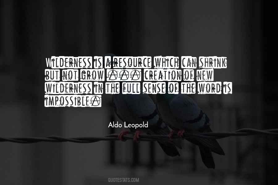 Aldo Leopold Wilderness Quotes #330181