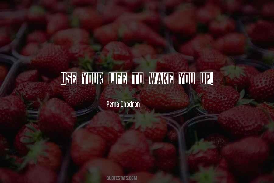 Desman Design Quotes #31719