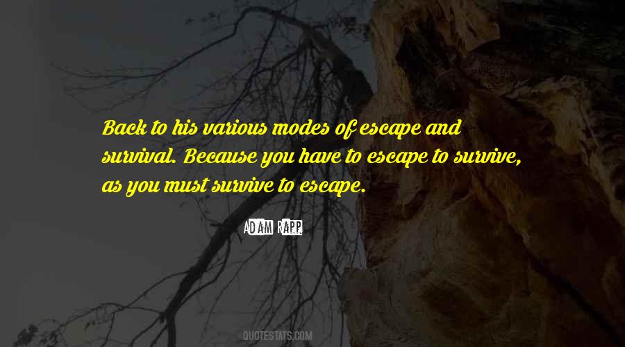 Yls Footwear Quotes #328322 Yls Footwear Quotes #328322