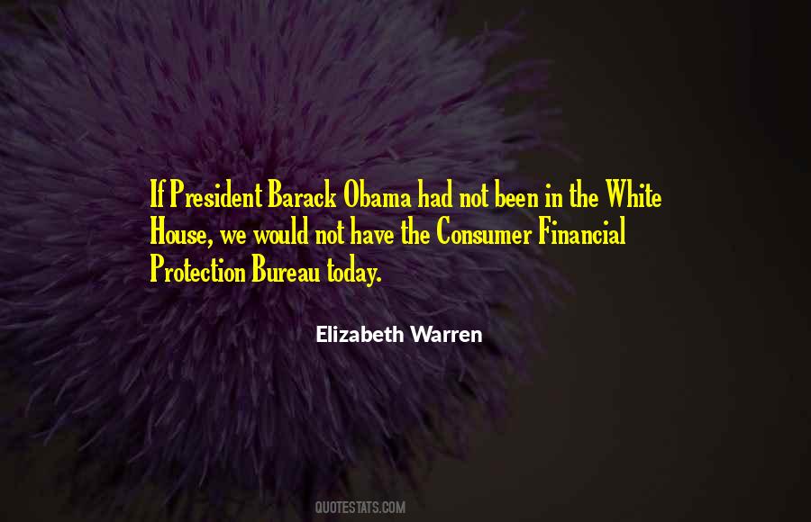 Consumer Financial Protection Bureau Quotes #685545