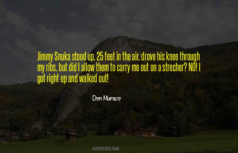Chickenfoot Dominoes Quotes #565130