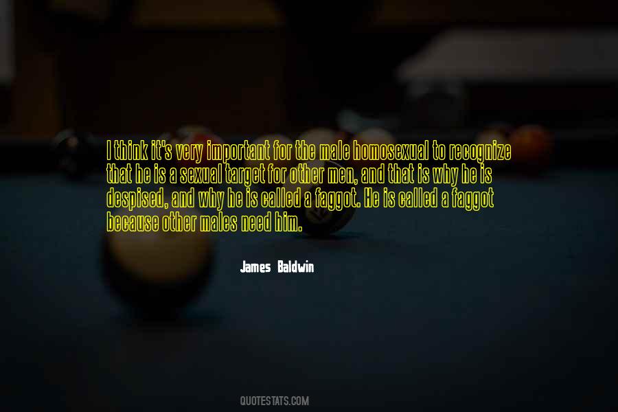 Johnnys Guilt Or Innocence In The Outsiders Quotes #1314812