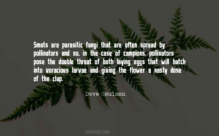 Quotes About Larvae #887712