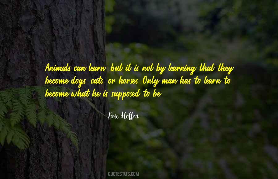 Animals Horses Quotes #1872504