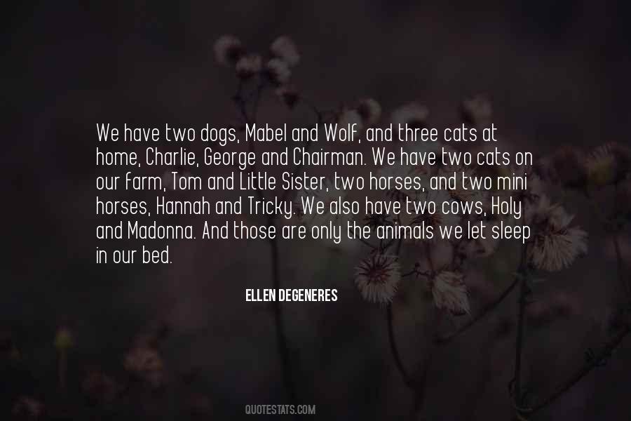 Animals Horses Quotes #615231