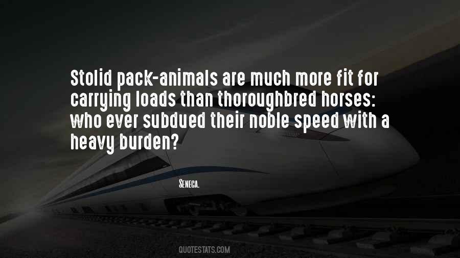 Animals Horses Quotes #66243