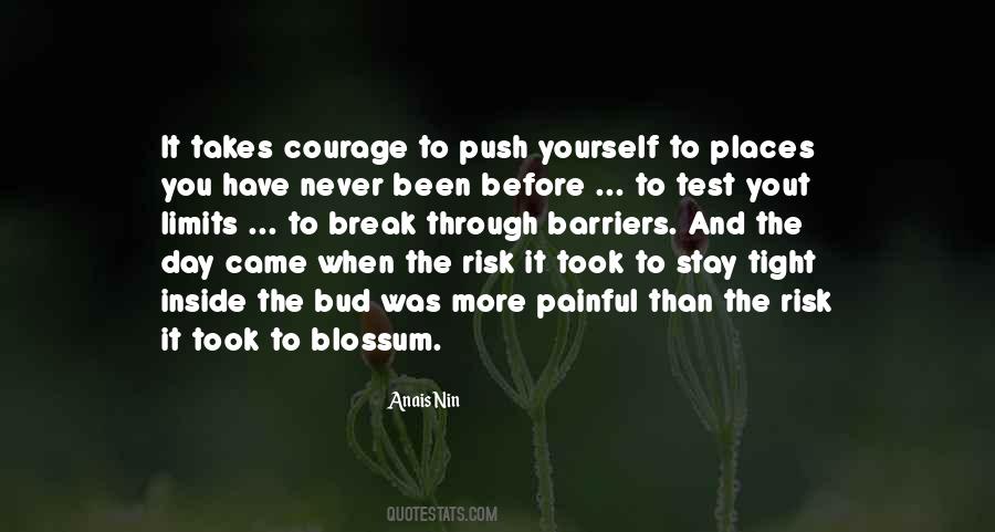 Push Your Limits Quotes #355778