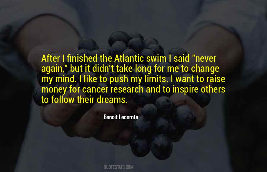 Push Your Limits Quotes #450011