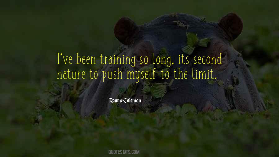 Push Your Limits Quotes #514125