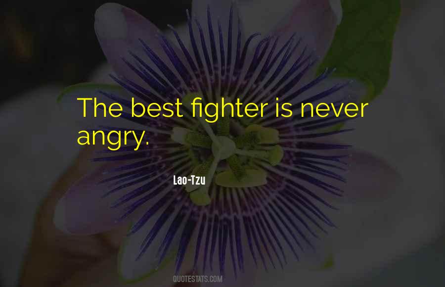 Control The Anger Quotes #1872443