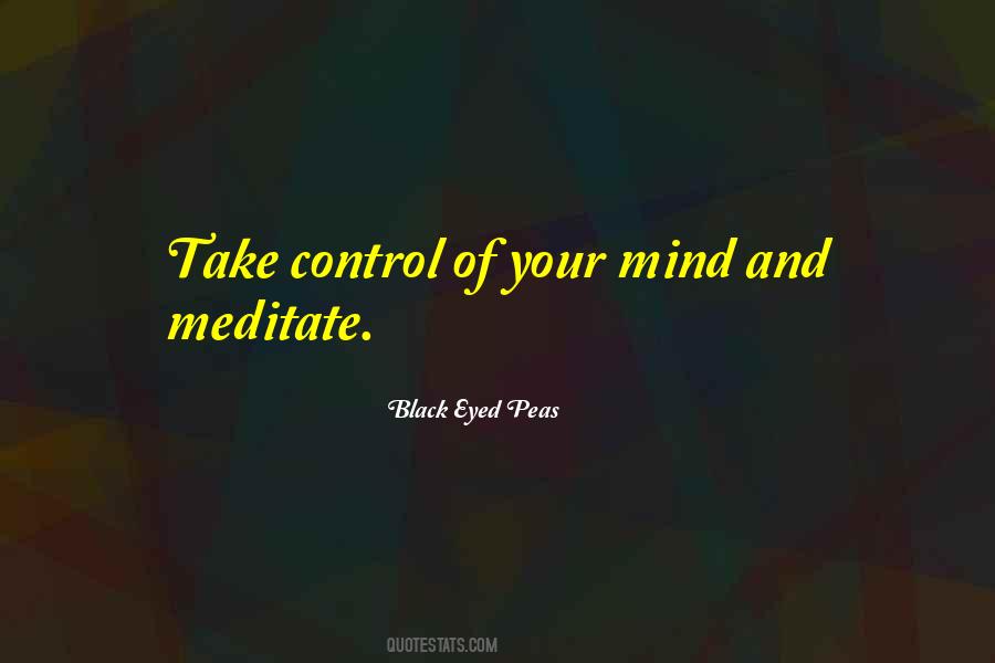 Control Your Mind Quotes #58554